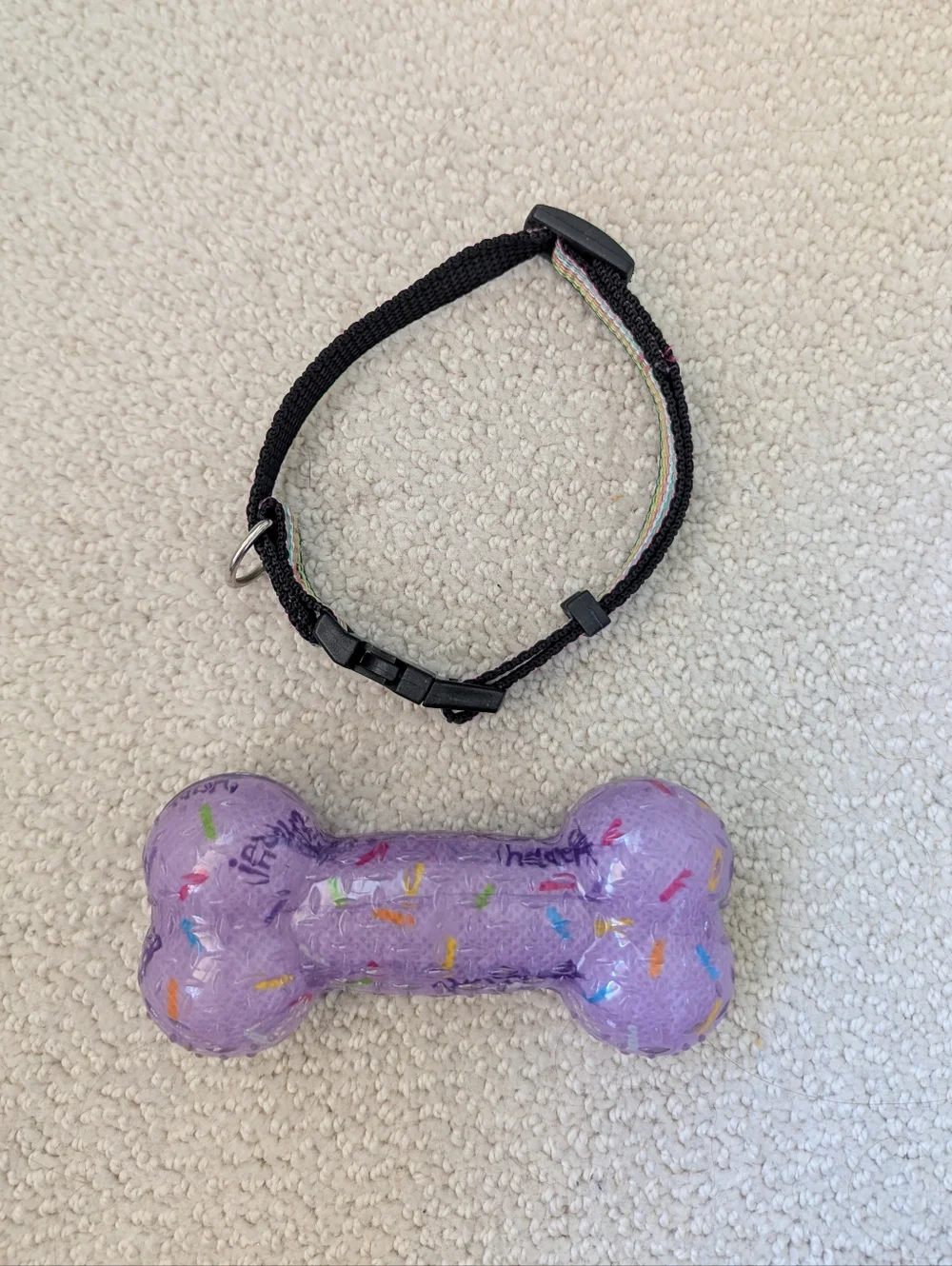 Birthday Bone Squeaker Toy And Small Multicolor Stripped Collar Set
